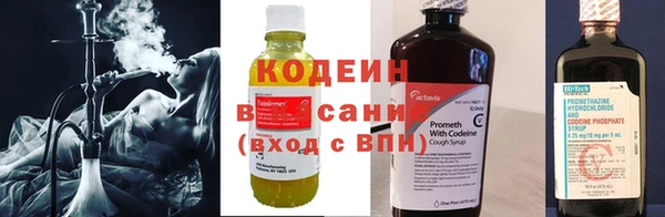 ПСИЛОЦИБИНОВЫЕ ГРИБЫ Киренск