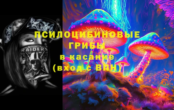 гашик Кинешма