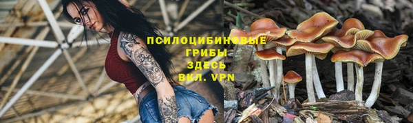 гашик Кинешма