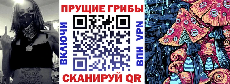 Галлюциногенные грибы Psilocybine cubensis  Кемерово 