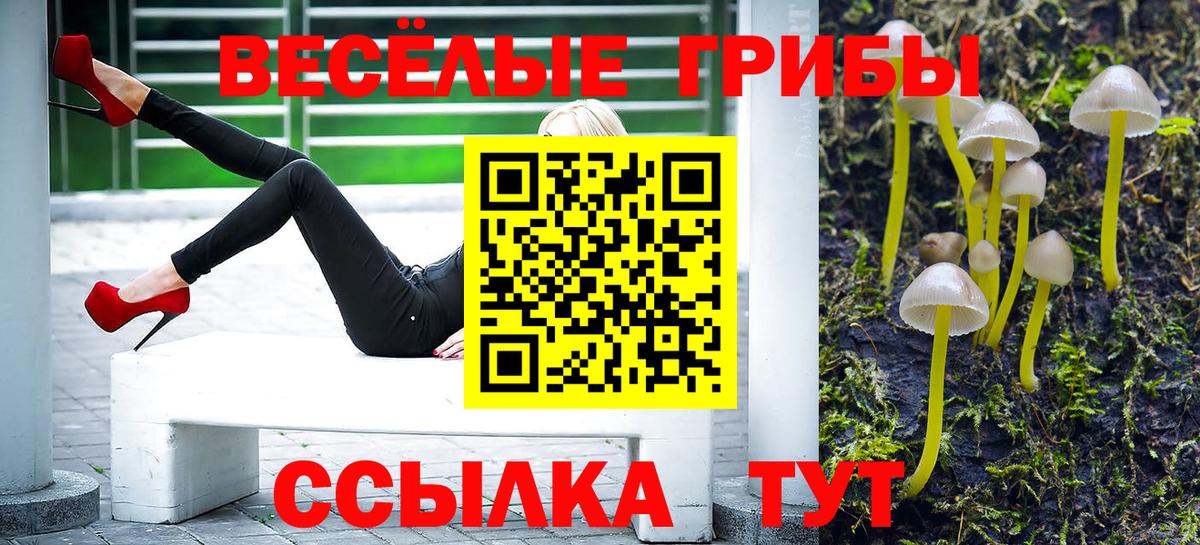 Галлюциногенные грибы Psilocybine cubensis  Вход с VPN  Кемерово 