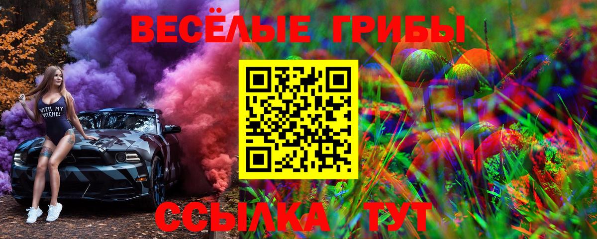 Галлюциногенные грибы Psilocybine cubensis  Псилоцибиновые грибы мухоморы  Кемерово 