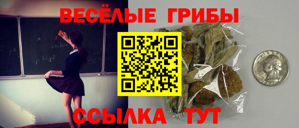 Псилоцибиновые грибы прущие грибы Кемерово